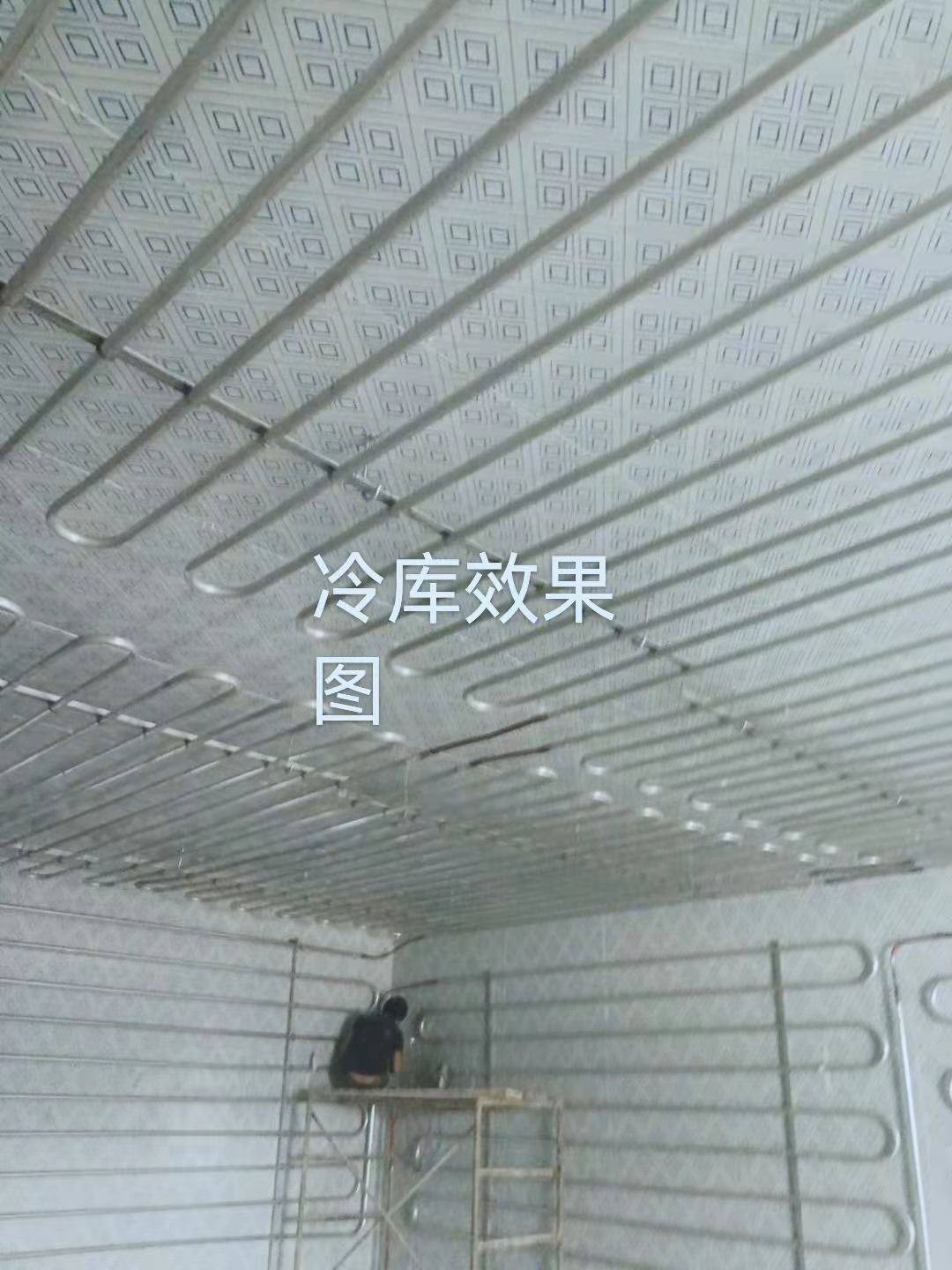 冷库效果图